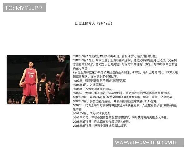 多字篮球明星的传奇之路与他们在赛场上的辉煌成就与影响力分析